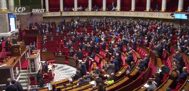 Inscription De L'IVG Dans La Constitution : L'Assemblée Adopte Le ...